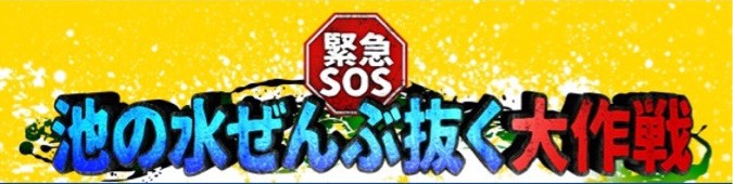 テレビ