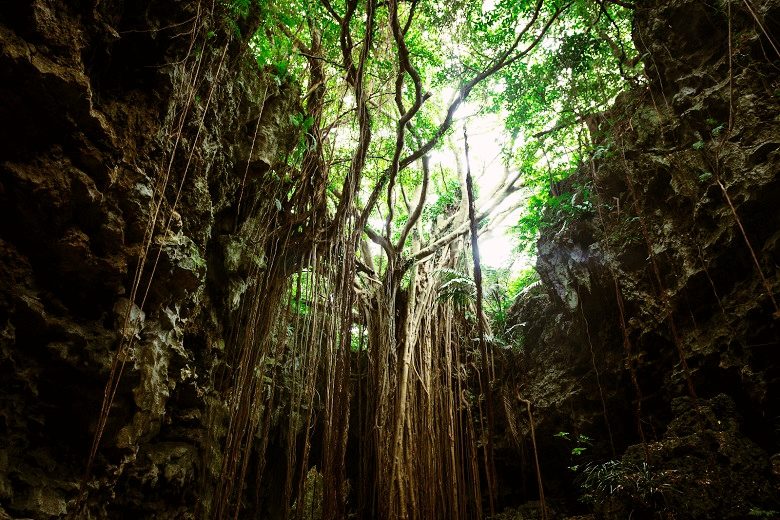ガンガラーの谷は予約して行こう！太古の神秘が宿る秘境パワースポット！