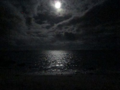 満月の声援、沖縄本島最北の島、月あかりで走る伊平屋ムーンライトマラソン