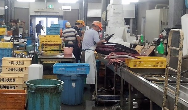 泊いゆまちとは、那覇泊港のとれたて新鮮魚市場まぐろ