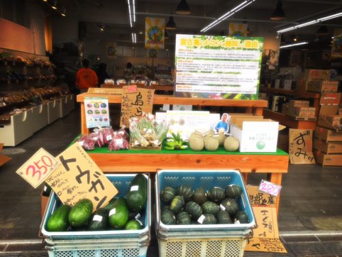 宮古島直送、新鮮で安い野菜！