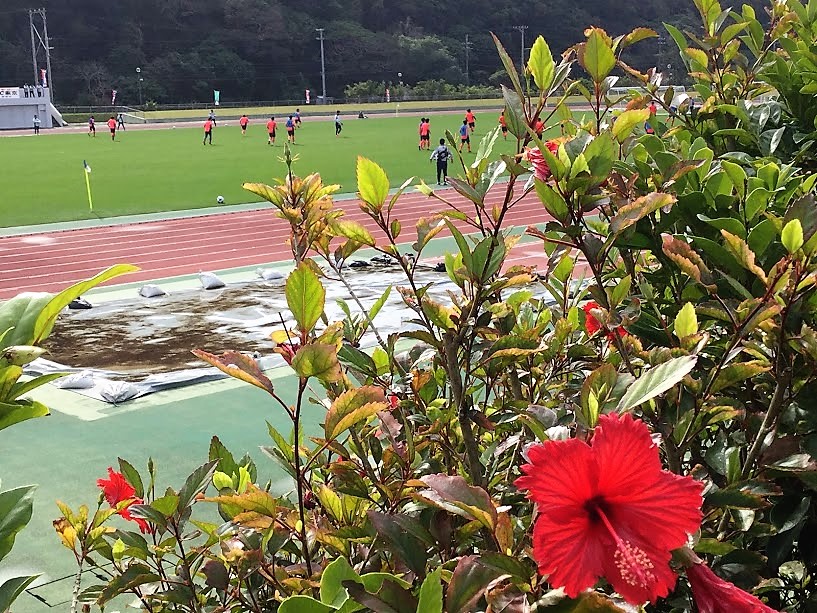 沖縄キャンプはプロ野球だけじゃない、サッカー、陸上