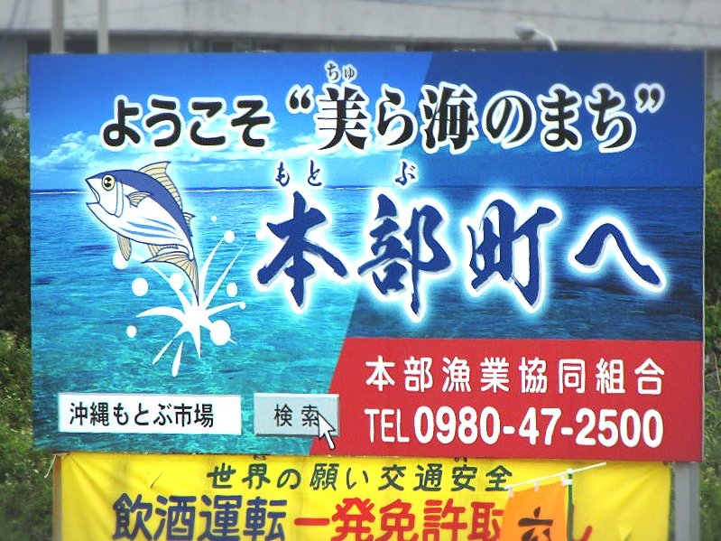 美ら海水族館のある本部町カツオのぼりのこどもまつり