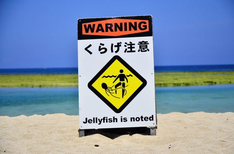 沖縄のビーチはクラゲに注意