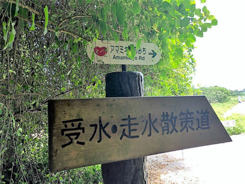 琉球の稲作発祥の地と伝えられる聖地「受水走水（ウキンジュハインジュ）」