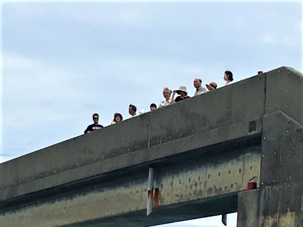 久米島の海に「取っ手」？歩いて渡るシールガチ橋