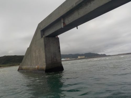 久米島の海には「取っ手」がある？ダイビング船がくぐるシールガチ橋