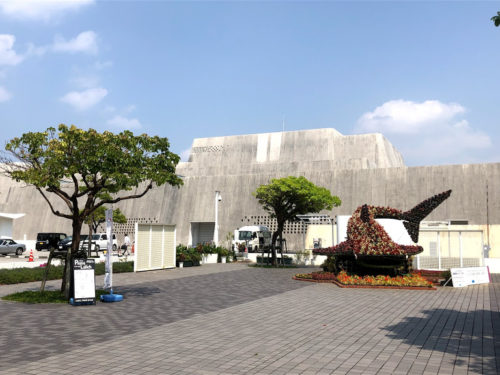 沖縄県立博物館はコレで料金割引に！お得に沖縄の歴史を学ぼう！