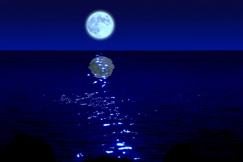 ホテル日航アリビラ「夜の潮干狩り」は冬の沖縄の風物詩！