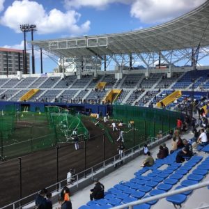 2022年プロ野球沖縄キャンプ情報！2月1日からスタート！