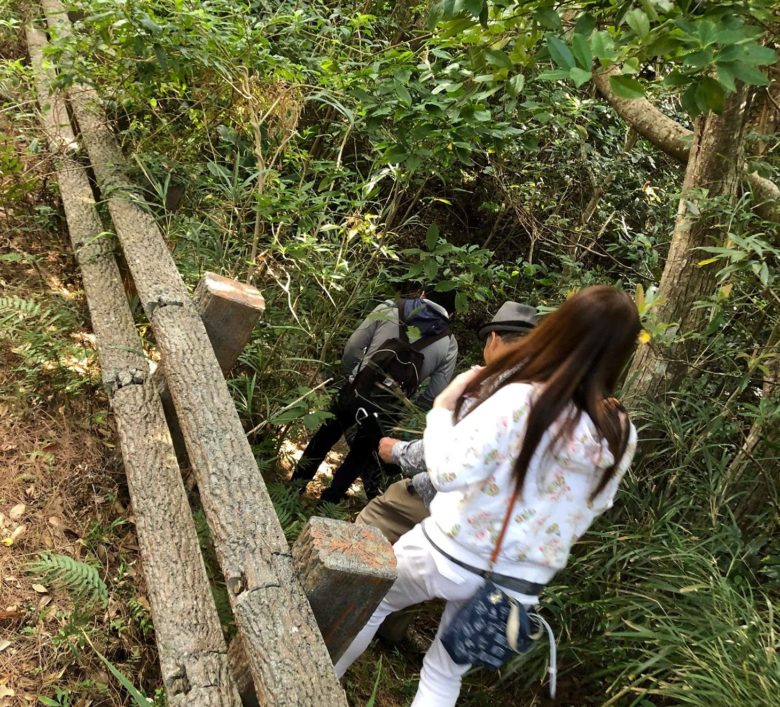 久米島の自然、ニブチの森散策