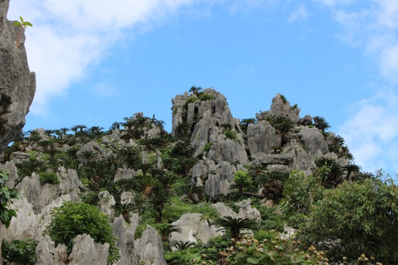 沖縄本島北部の大石林山