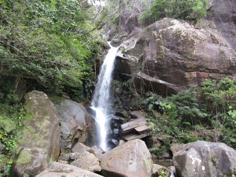 名護の癒しのスポット「轟の滝」は落差28ｍ、沖縄の植物も楽しめる遊歩道！