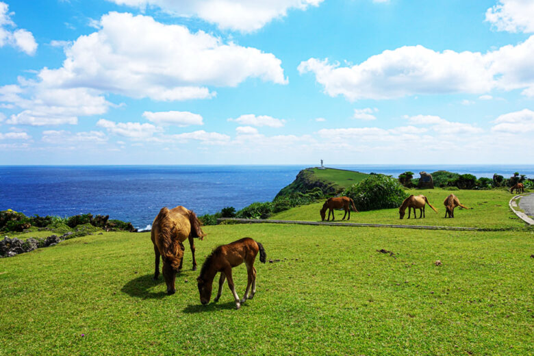 日本の最西端の島「与那国島」をドライブで巡ろう！モデルコースはこれだ！