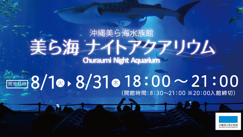 「美ら海ナイトアクアリウム」で幻想的な夜の美ら海水族館を楽しもう！