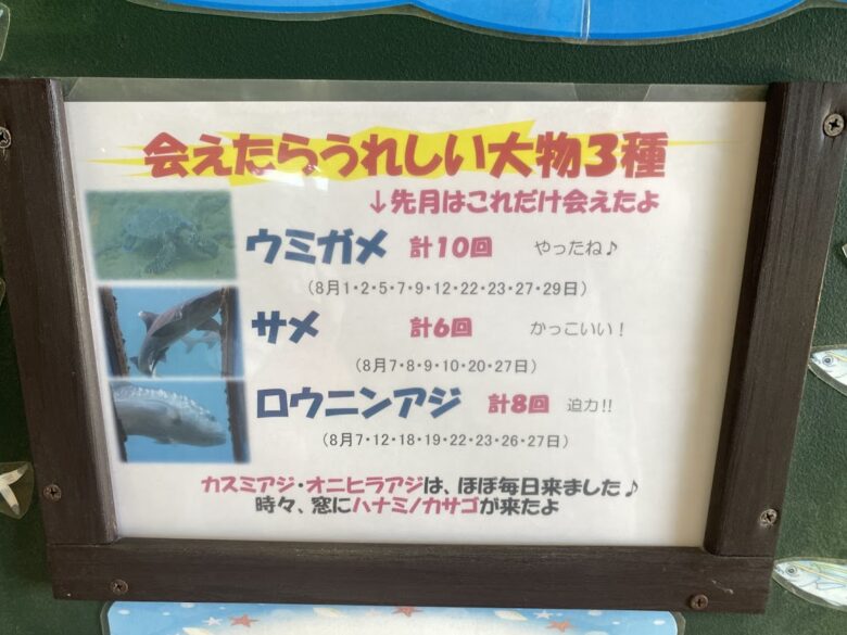 宮古島海中公園