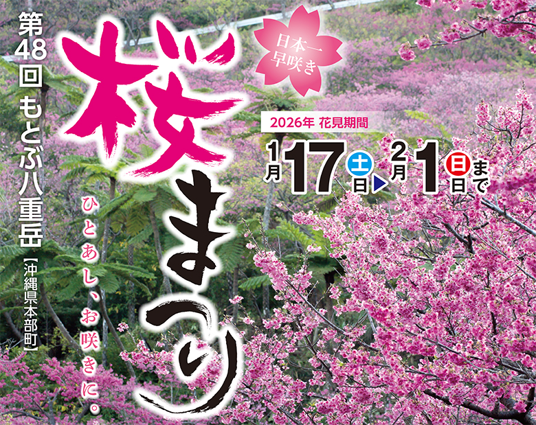 「もとぶ八重岳桜まつり2026」は日本一早く桜が開花！ひとあし、お咲きに。