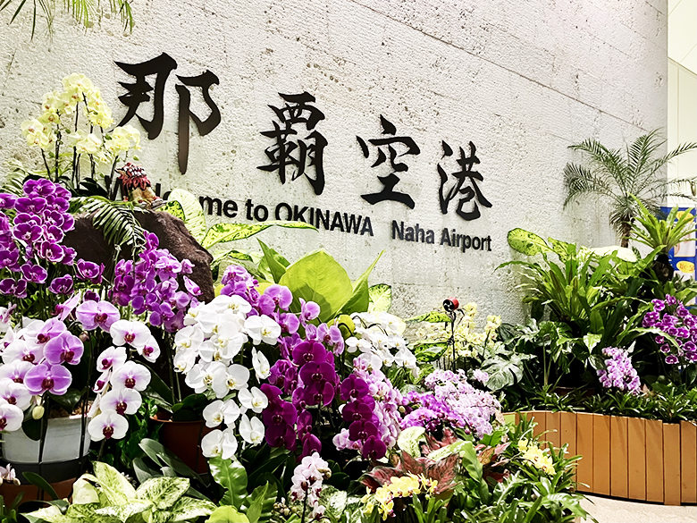 那覇空港の離島乗り継ぎ時間を有効に！国際通りで食・酒・観光を満喫プラン！